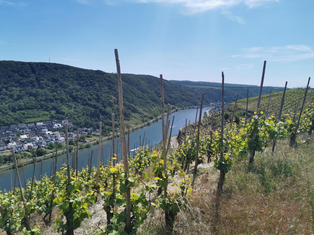 Auszeit Rhein-Mosel Apartment Waldesch Exterior foto
